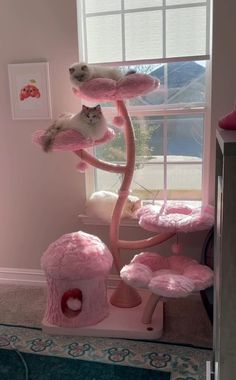 two cats are sitting on top of the cat tree in this pink room, and one is laying on it's head