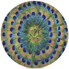 an image of a peacock's feathers on a plate