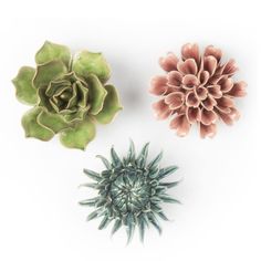 PRICES MAY VARY. Stunning Ceramic Flowers — Our 'Coral' faux ceramic flower & succulent collection is entirely handmade, and that is reflected in each piece’s exquisite detail; Each one is a little work of art that is completely unique, and will blend beautifully into any home, from modern minimalist and boho chic to country traditional Inspired by Nature — Chive's fresh, new-school designs are original, dynamic and committed to showcasing the very best in nature-inspired style; Each of our prod