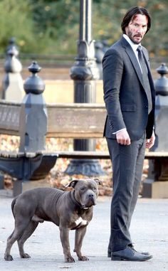 a man in a suit and tie standing next to a pitbull on the street