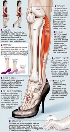 I'm wiser and shorter these day Muscle Anatomy, Medical Anatomy, Education Motivation, Chiropractic Care, Body Anatomy, Foot Health, Foot Pain, Sciatica, Knee Pain