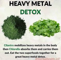 Heavy Metal Detox, Medical Herbs, Healthy Herbs