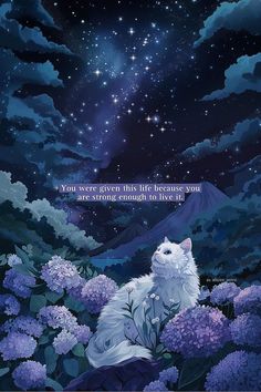 a white cat sitting on top of a lush green field under a sky filled with stars