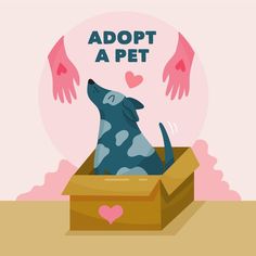 a dog sitting in a box with its paws up to it's head and the words adopt a pet above it