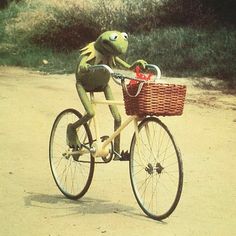 a frog riding on the back of a bike with a basket in it's front wheel