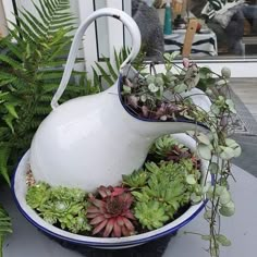 a white pitcher filled with succulents on top of a table next to plants