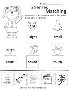 the five senses matching worksheet for children