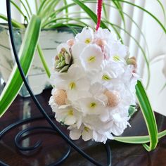 a bouquet of white flowers hanging from a hook on a table next to a plant