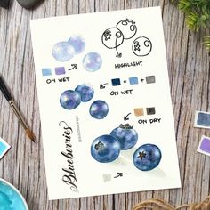 a paper with some blueberries on it next to watercolor paints and paintbrushes