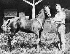 a man standing next to a brown horse