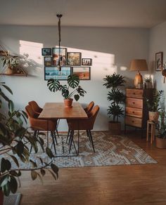 a dining room table with chairs and plants on the wall above it, in front of a potted houseplant