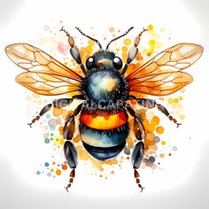 a watercolor painting of a bee with spots on it's body and wings