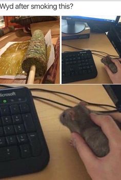 a mouse sitting on top of a keyboard next to a computer monitor and an image of a pipe