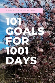 101 In 1001 Ideas, 101 Things In 1001 Days, 101 Goals, Mastering Studio, Studio Product Photography, Period Cup, Making Goals, Brain Exercise, King Book