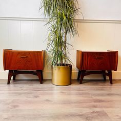 two wooden nightstands sitting next to each other near a potted plant on top of a hard wood floor