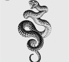 a black and white drawing of a snake