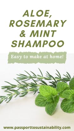 Diy Rosemary Mint Hair Oil, Diy Rosemary Mint Shampoo, Homemade Herbal Shampoo Recipe, Homemade Rosemary Shampoo, Natural Products For Hair, Rosemary Conditioner Diy, Rosemary Peppermint Hair Growth, How To Make Your Own Shampoo For Hair Growth, Diy Aloe Shampoo