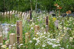 a field full of flowers and plants next to a wooden fence with birdhouses on it