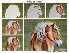 four pictures of horses with different manes and hair colors, each showing the same horse's head