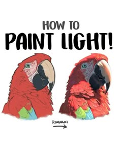 two colorful parrots with the words how to paint light