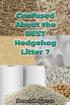 several different types of litters with the words, confused about the best hedgehog litter?