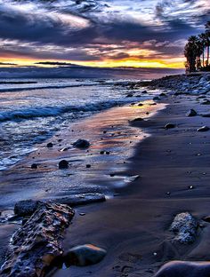 the beach is lined with rocks and palm trees as the sun sets over the ocean