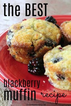 three blueberry muffins on a red plate