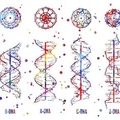 an image of some kind of structure that looks like something out of a science book