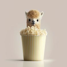 a little llama sticking its head out of a cup filled with popcorn