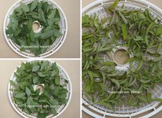 three pictures showing how to cut leaves and place them in a strainer for drying