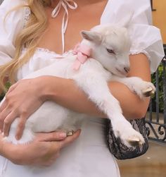 a woman is holding a baby goat in her arms while wearing a pink bow tie