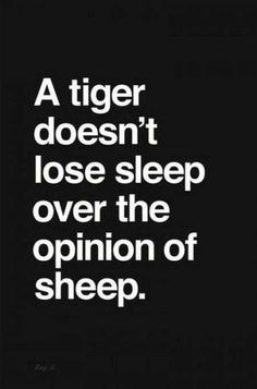 Sleep Over, Quotes Short, A Tiger, Daily Inspiration Quotes, Daily Motivational Quotes