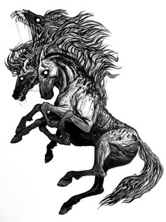 a black and white drawing of a horse with long hair on it's back legs