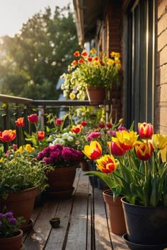 "Breathe new life into your balcony with these gorgeous garden ideas! From lush plants to creative arrangements, these designs freshen up any outdoor space. Perfect for adding greenery and a touch of nature to small balconies. Make your outdoor area bloom with beauty!" Small Balconies, Lush Plants