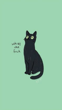 a black cat sitting on top of a green background with the words wh at the f