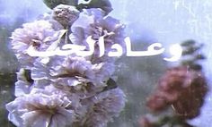 an image of flowers in arabic writing on a window