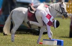 a person riding on the back of a white horse next to a blue barrel in grass