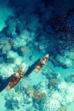 two people in canoes paddling through the water on their own boat, surrounded by coral reefs