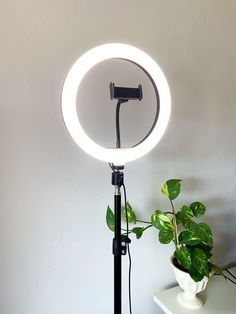 a light that is sitting on top of a table next to a potted plant