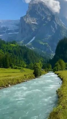 a river running through a lush green valley