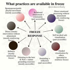 Freeze Response, Somatic Experiencing, Somatic Therapy, Internal Family Systems, Everyone Is Different, Psychology Studies, Growth Inspiration, Mental Health Counseling