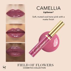 Raspberry Rose, Tinted Gloss, Vanilla Scent, Field Of Flowers, Cool Tones, Flower Field, Medium Brown, Your Name, Raspberry