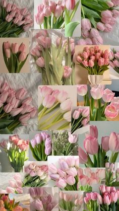 a collage of pink tulips and other flowers