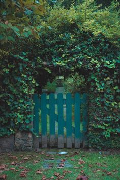 a wooden gate surrounded by green plants and leaves