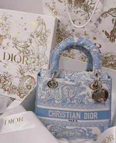 Cute Expensive Bags, Dior Purse, Christian Dior Bag, Designer Aesthetic, Expensive Bag, Luxury Bags Collection, Expensive Handbags, Blue Book, Girly Bags