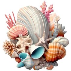 an arrangement of sea shells and corals on a white background