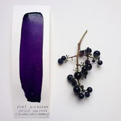 a piece of paper with some black berries on it next to a purple object that looks like a tube of liquid