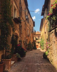 an alley way with flowers and potted plants on either side, surrounded by brick buildings