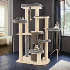 a cat tree in the middle of a room