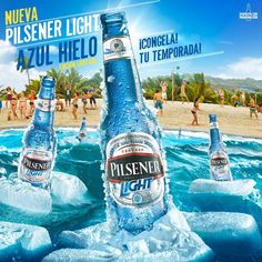 two bottles of pilsener light on ice in the ocean with people swimming around